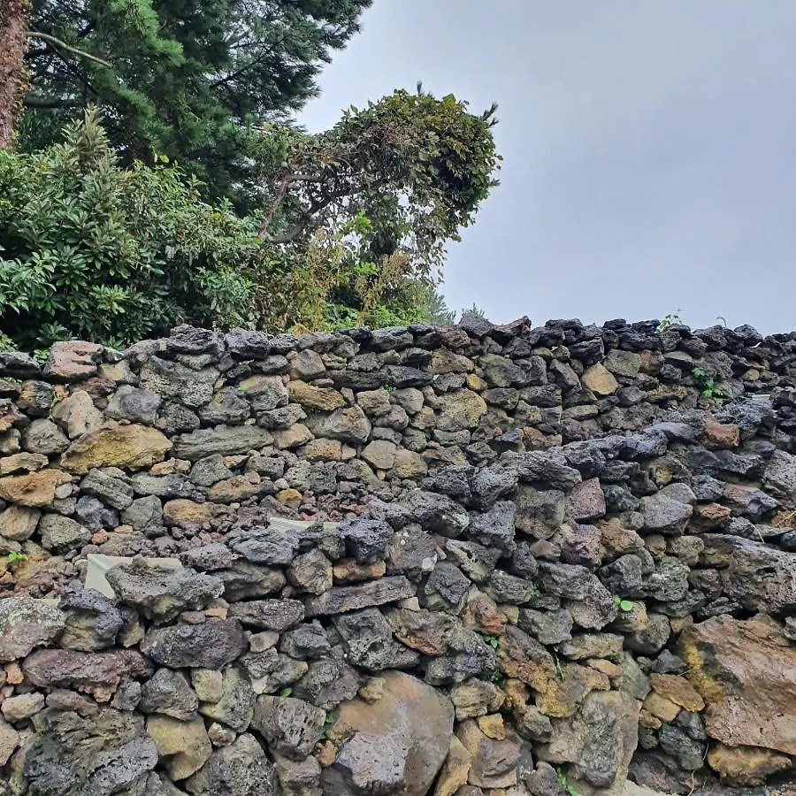 مبيت وإفطار Jeju Damda فندق مبيت وإفطار