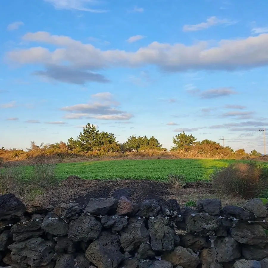 مبيت وإفطار Jeju Damda فندق مبيت وإفطار