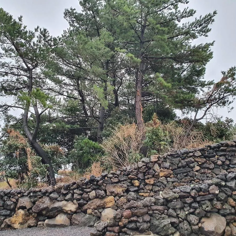 مبيت وإفطار Jeju Damda